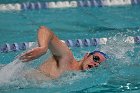 Swim vs Bentley  Wheaton College Swimming & Diving vs Bentley University. - Photo by Keith Nordstrom : Wheaton, Swimming & Diving